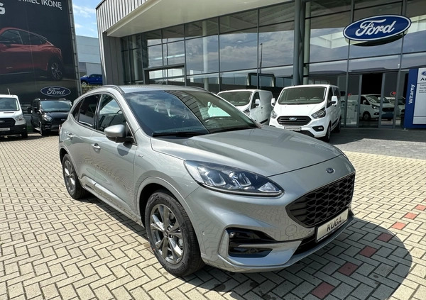 Ford Kuga cena 138000 przebieg: 10, rok produkcji 2022 z Kalety małe 56